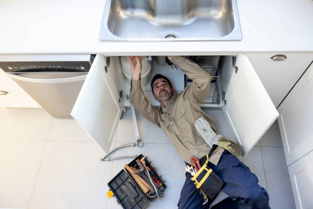 Best Plumbing Inspection Services  in Platte, SD